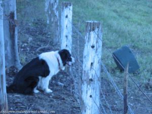 Picture 067